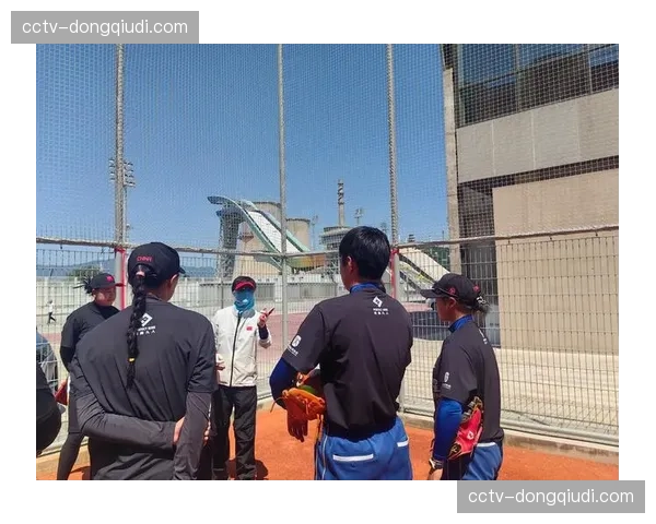 洛杉矶奥运垒球赛程草案流出，金牌战定于8月3日举行