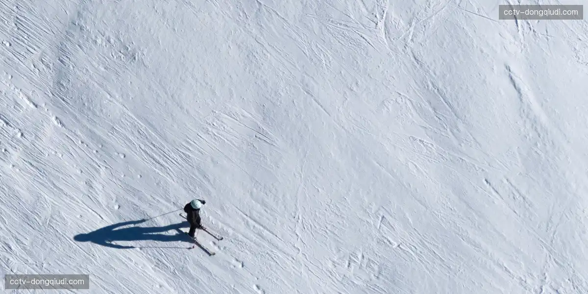 🥇 速度力量技巧三位一体，巅峰对决，神仙打架全程高能！💫